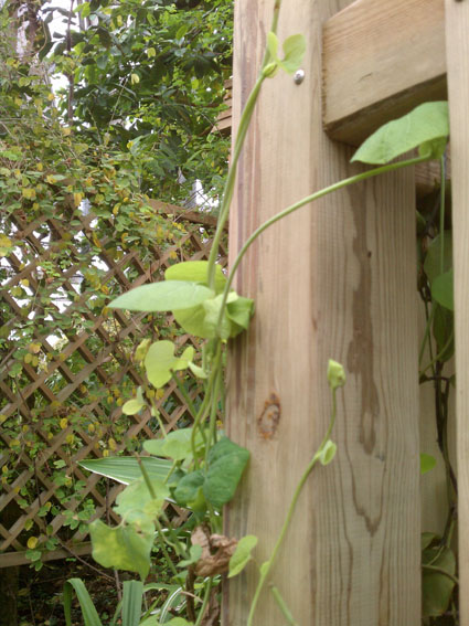IMAG0905.jpg