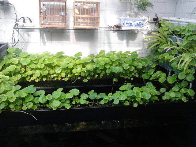 IMG_20130503_073406.jpg