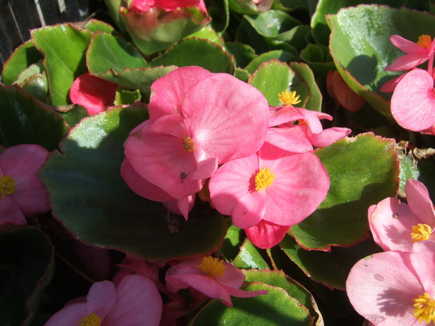 DSCF2635_调整大小.JPG