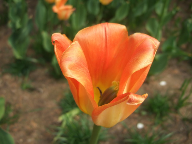 DSCF3439_调整大小.JPG