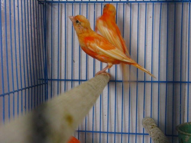 5.112 012.jpg