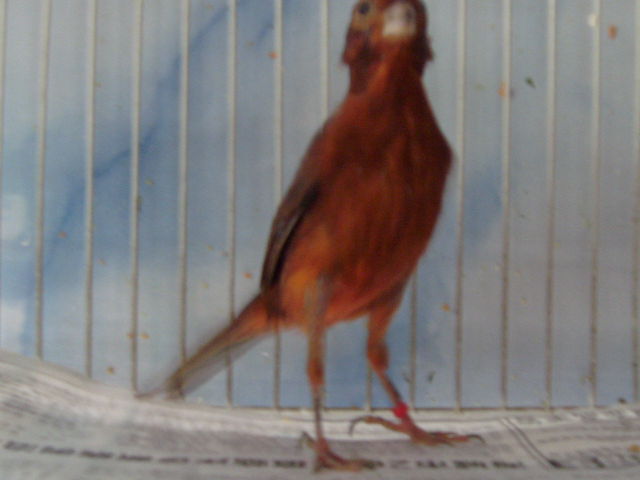 S73R0106.JPG