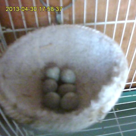 照片2013-04-30.JPG