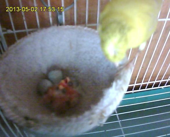 照片2013-05-02 2.JPG