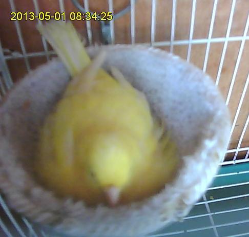 照片2013-05-01.JPG