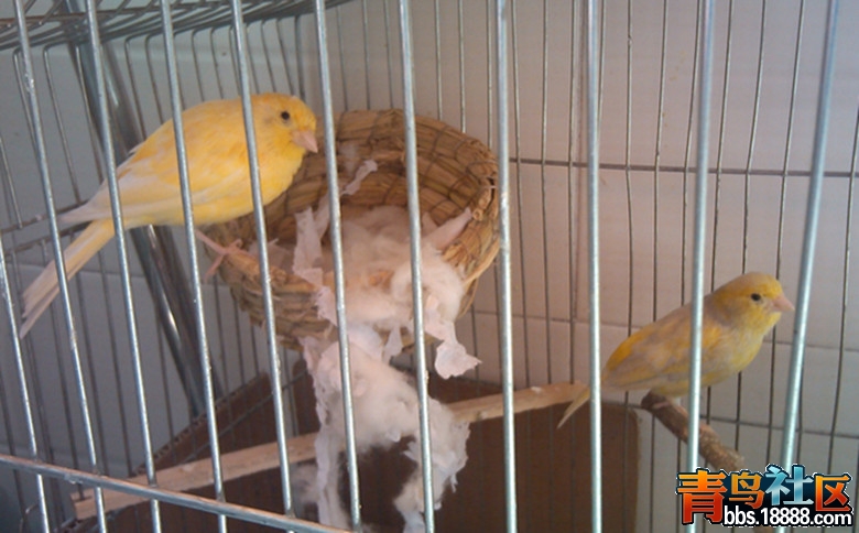 YP20130511120042434._副本.jpg
