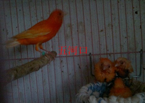 2013-05-15-116_副本.jpg