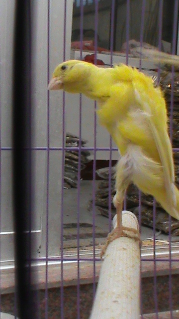 DSC00173.JPG