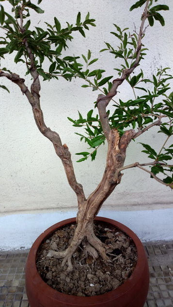 2013-05-26-0665.jpg
