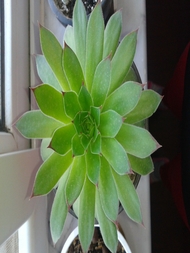 IMG_20130426_061416.jpg