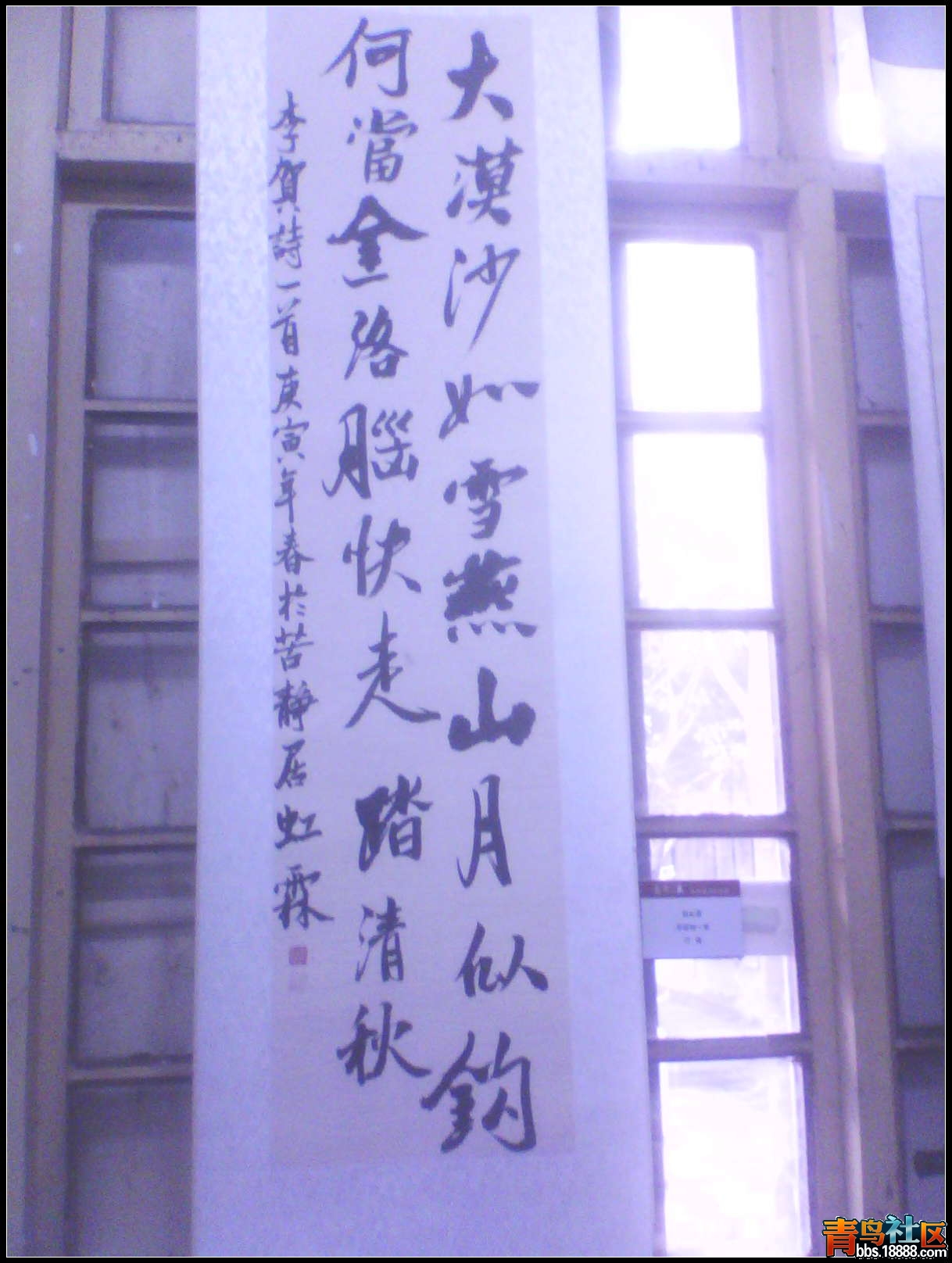 IMG0133A.jpg