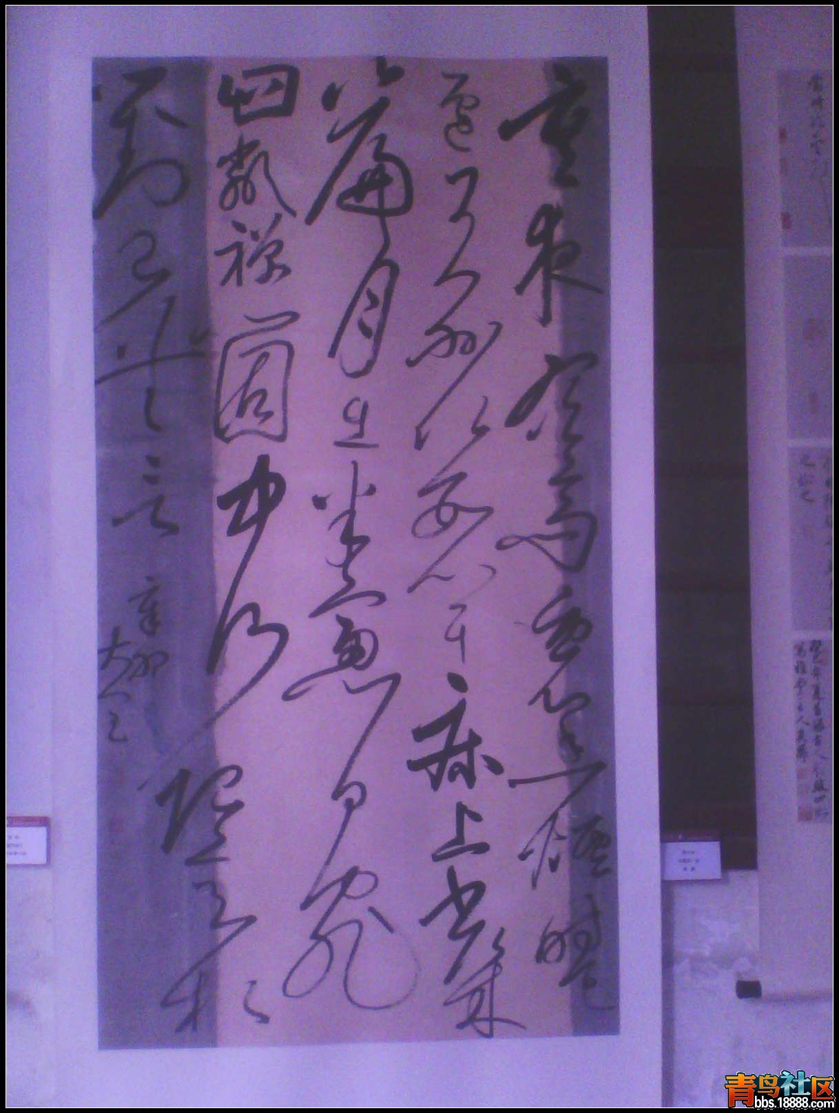 IMG0083A.jpg