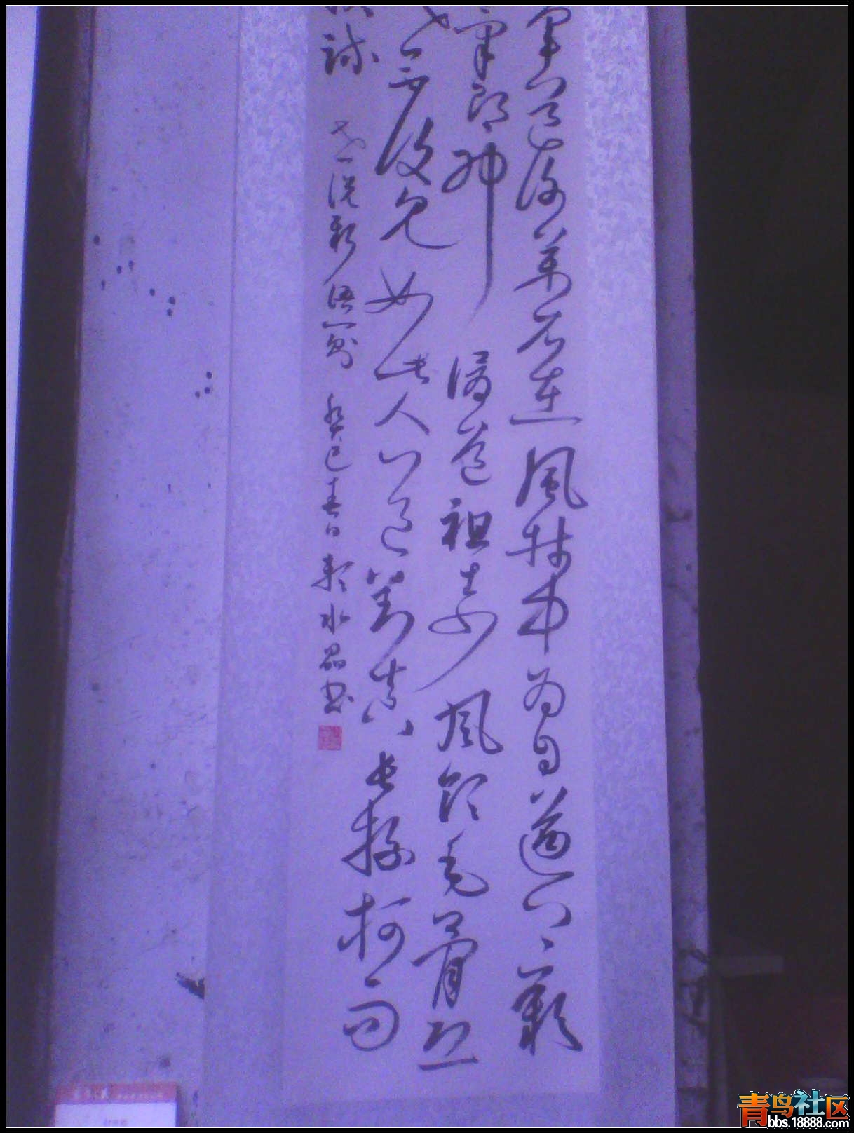 IMG0136A.jpg