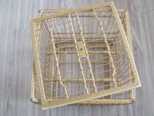 DSCF2974_conew1.jpg