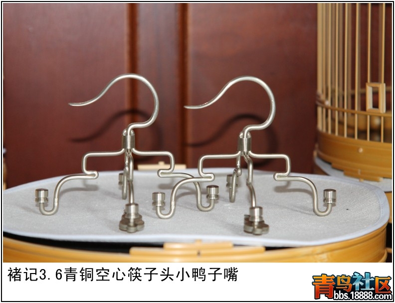 照片 047.jpg