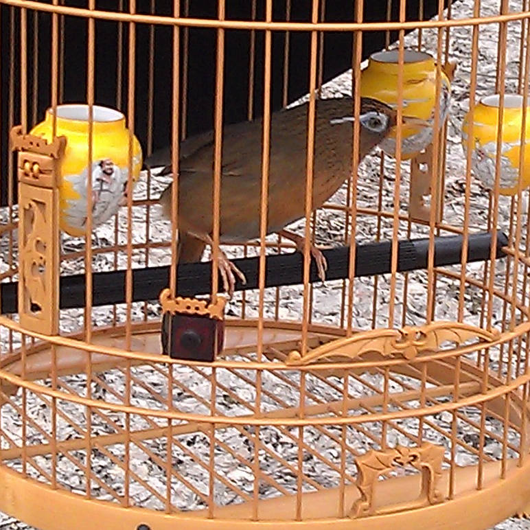 IMAG0327.jpg