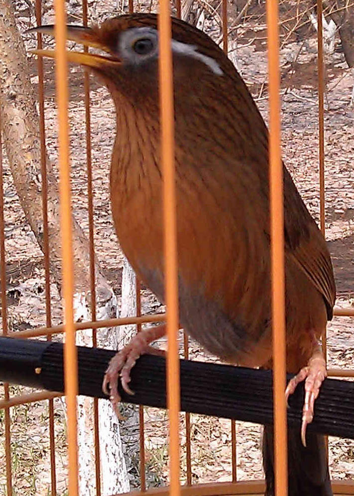 IMAG0318.jpg