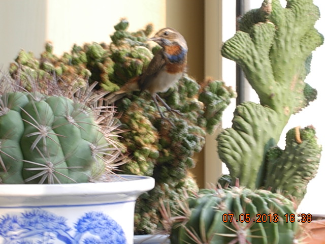 DSCN2285.JPG