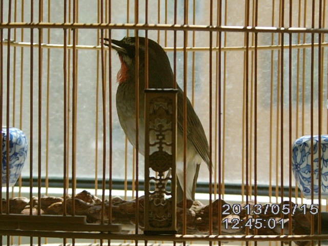 IMAG0006.jpg