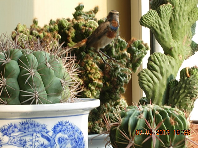 DSCN2282.JPG