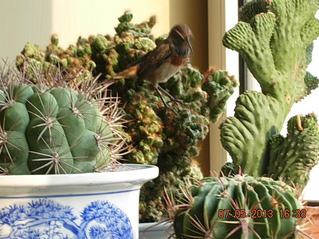 DSCN2283.JPG