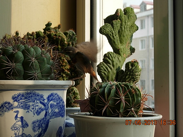 DSCN2274.JPG
