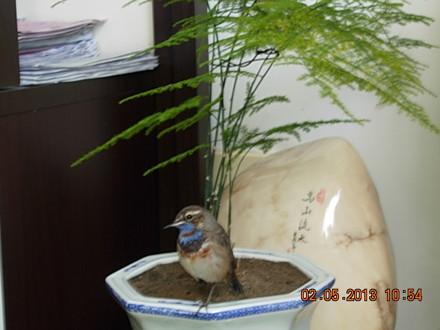DSCN2255.JPG