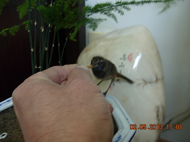 DSCN2268.JPG