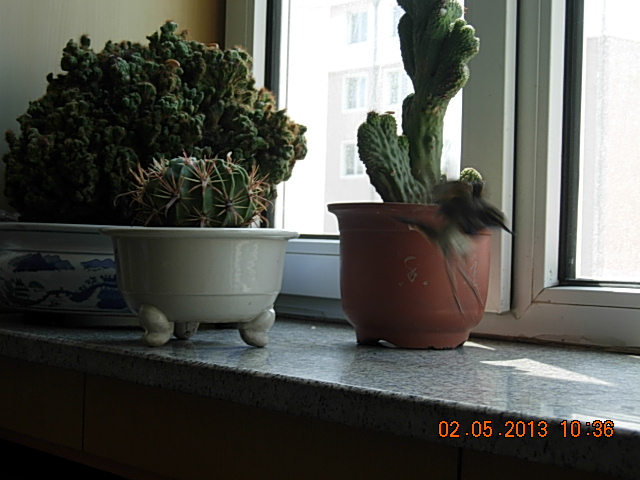 DSCN2236.JPG