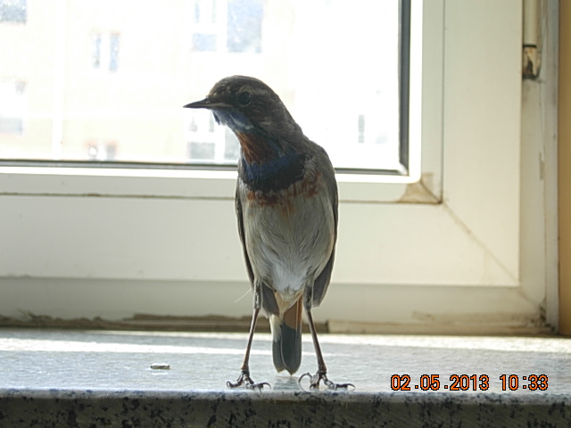 DSCN2235.JPG
