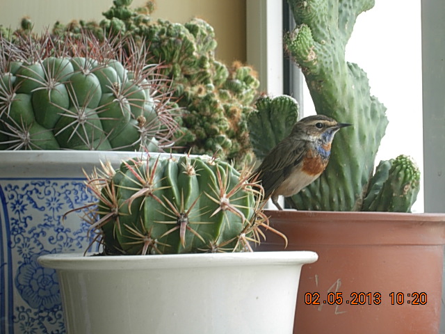 DSCN2221.JPG