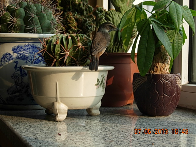 DSCN2287.JPG