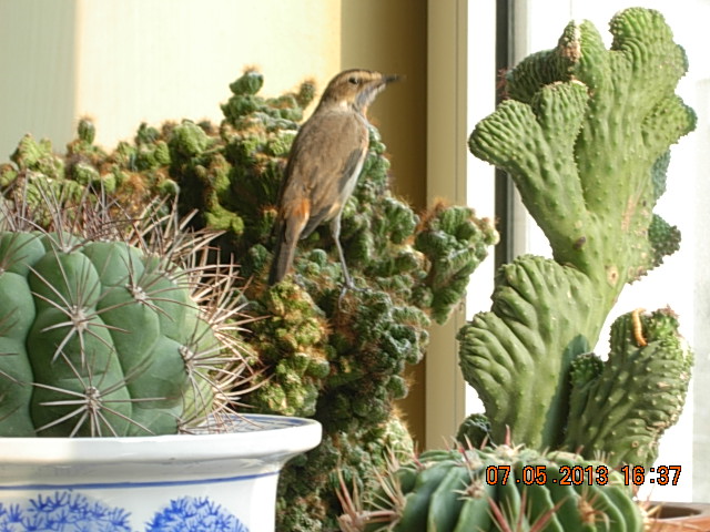 DSCN2279.JPG