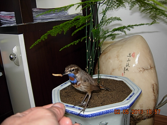 DSCN2262.JPG