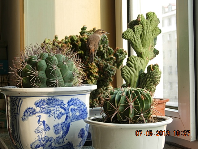 DSCN2281.JPG