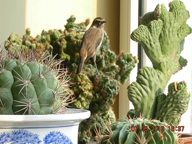 DSCN2280.JPG