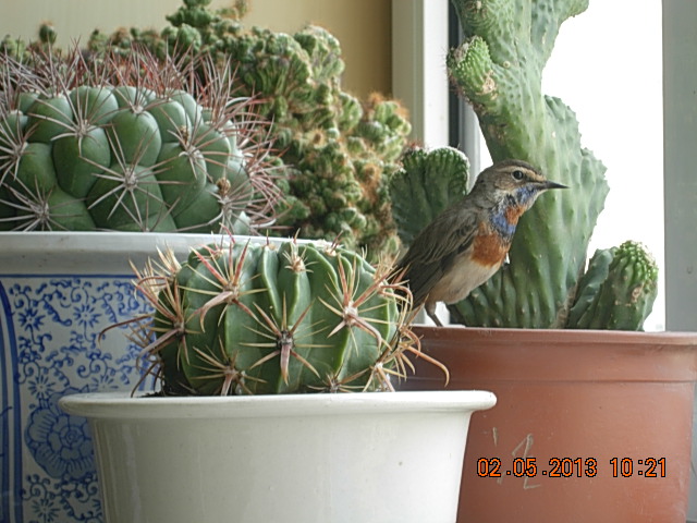 DSCN2222.JPG