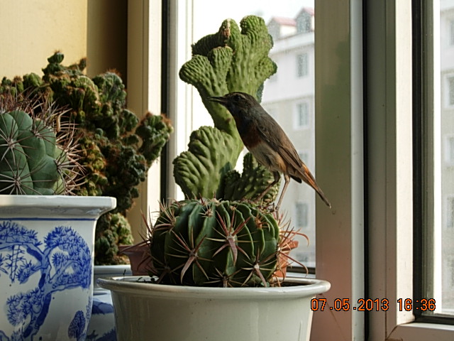 DSCN2273.JPG