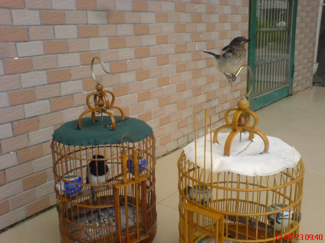 DSC00585.JPG
