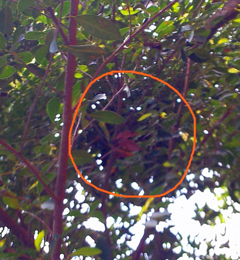 P30509-110959_副本.jpg