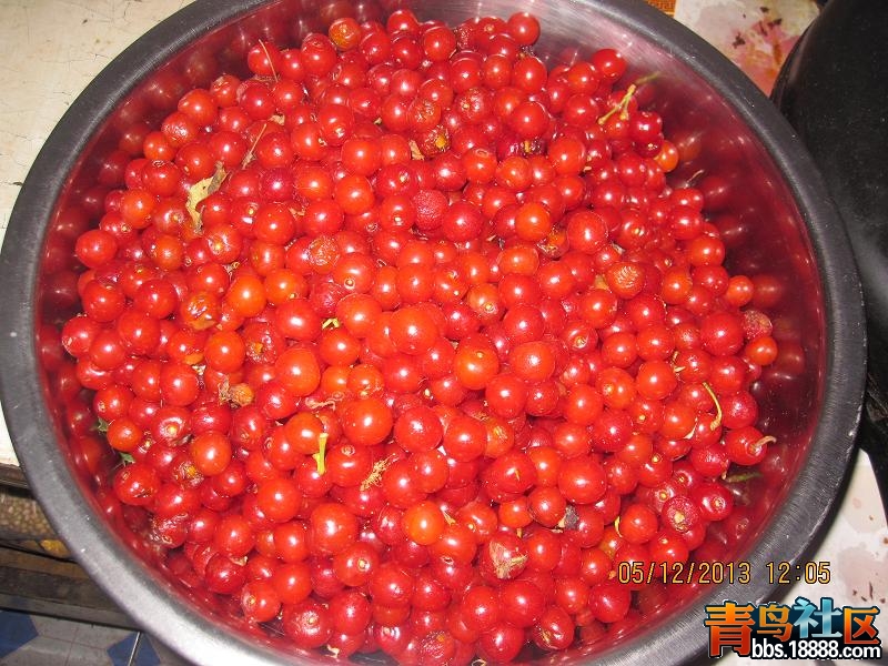 照片 008.jpg
