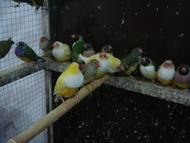 DSC09480.JPG