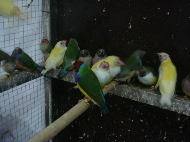 DSC09478.JPG