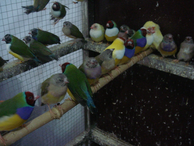 DSC09484.JPG