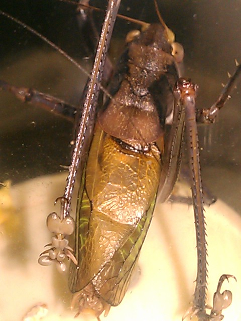 IMAG1080.jpg