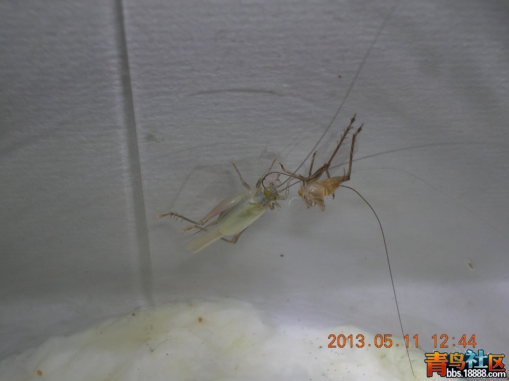 DSCN2548.jpg