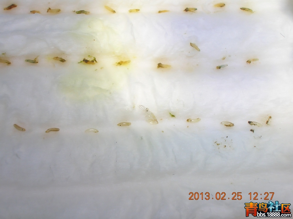 DSCN1898.jpg