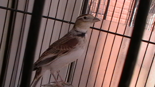 IMGA0167.JPG