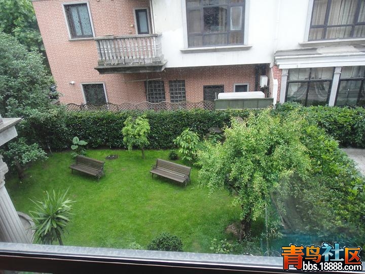 jpg03611.JPG