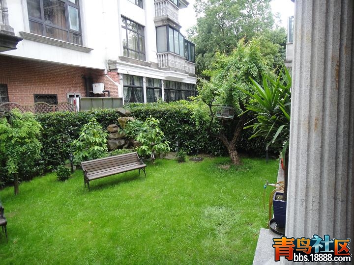 jpg03614.JPG